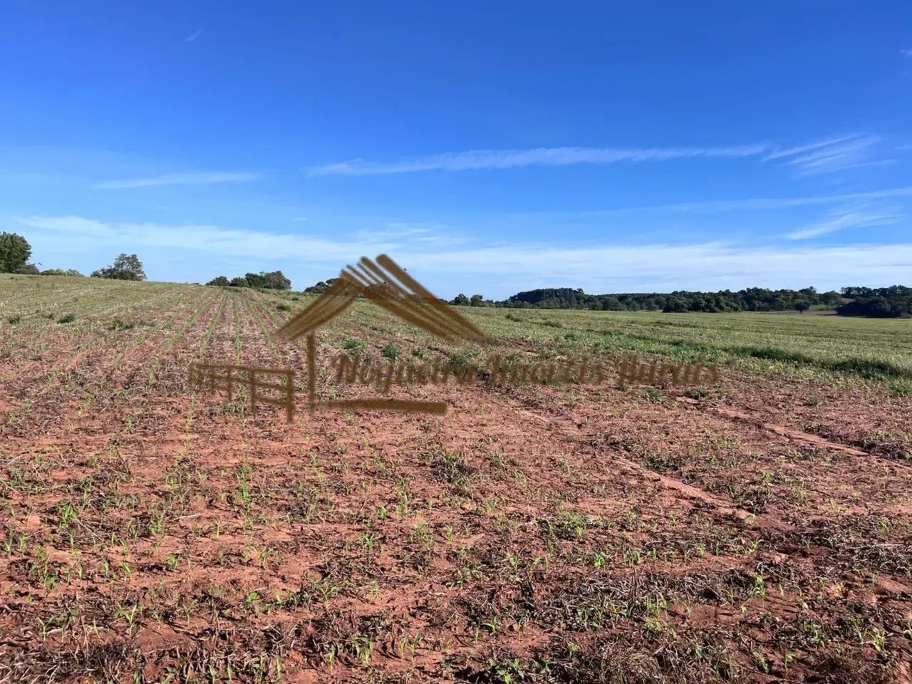 Fazenda com 240 alqueires em Avaré/SP - Foto 2