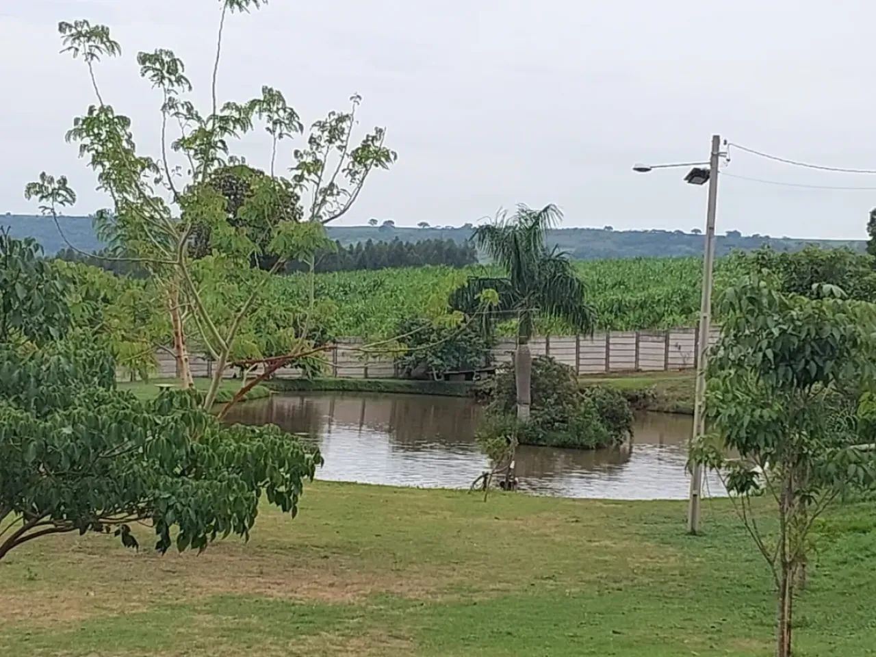 Rural Chácara em Descalvado - Foto 4