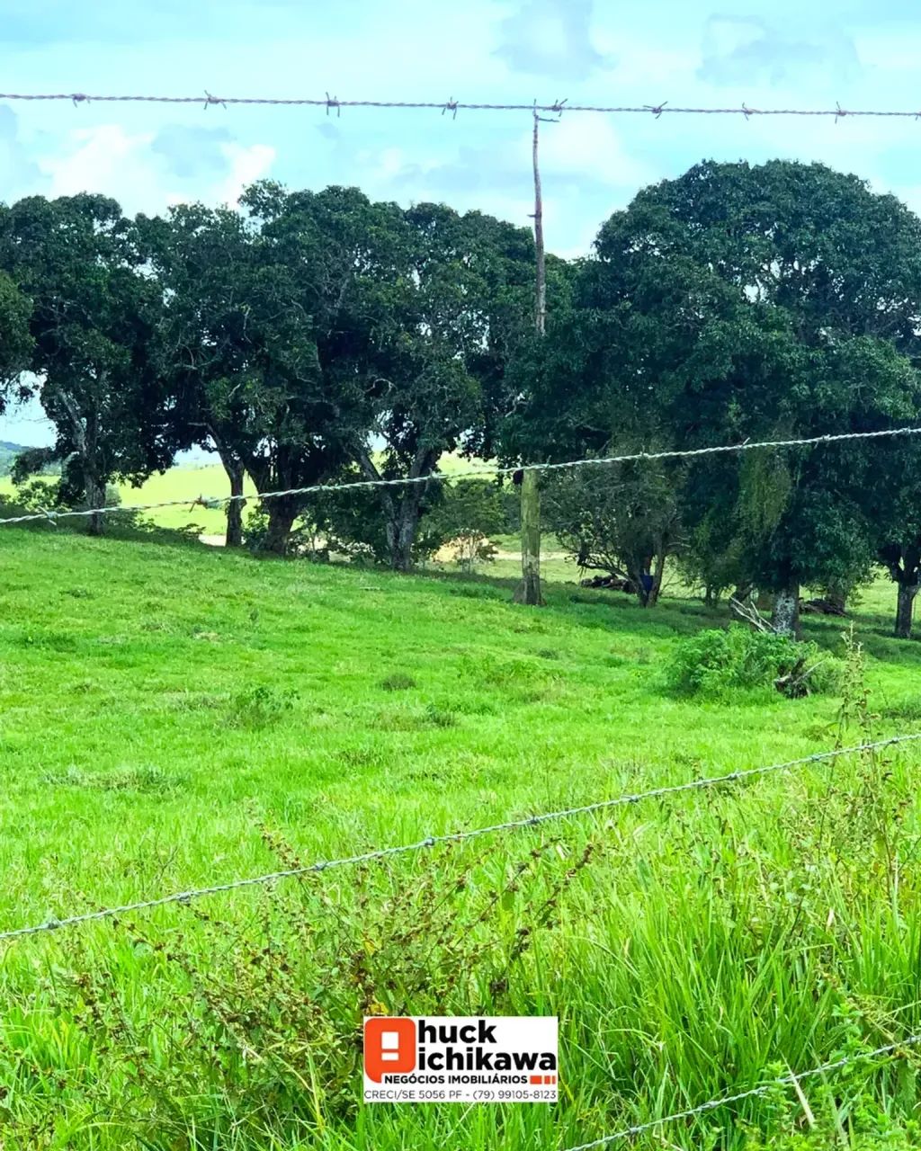 Fazenda de 100 tarefas  Boquim / Salgado - Foto 2