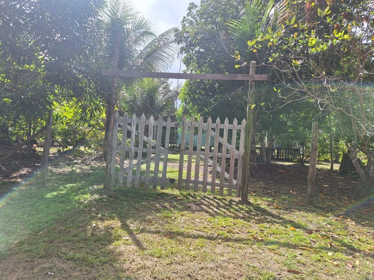 Foto - Manaus - Alvorada
