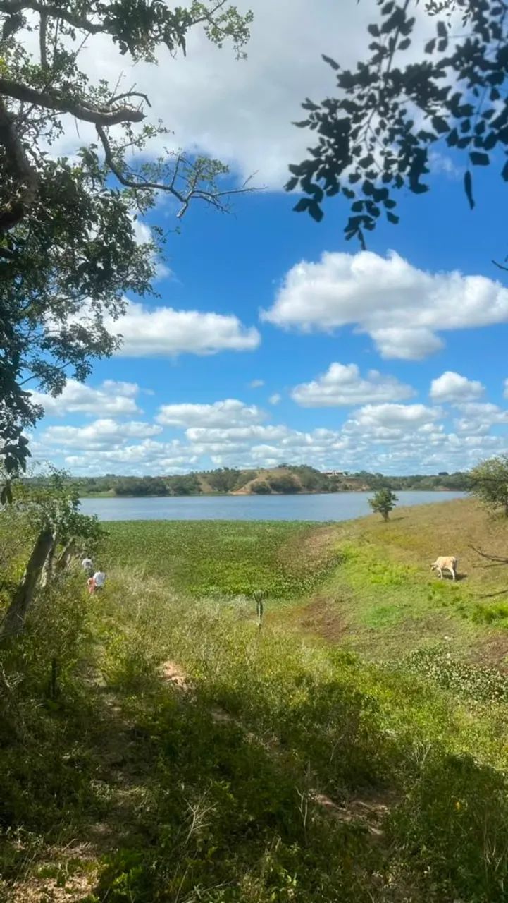 terrenos - Foto 5