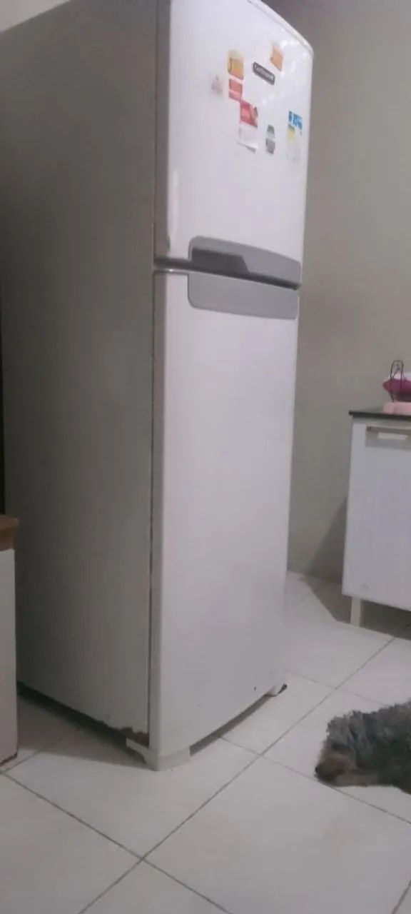Geladeira  - Foto 2