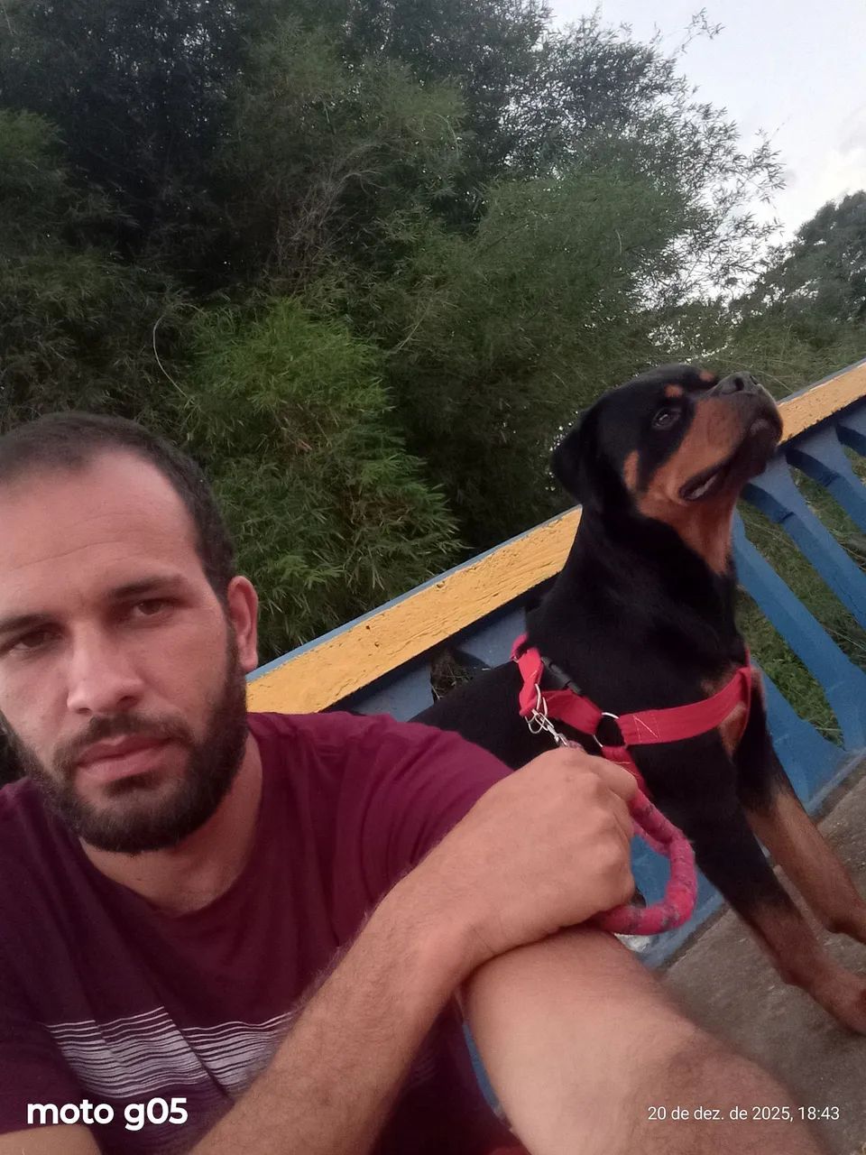 Vende se - Foto 3