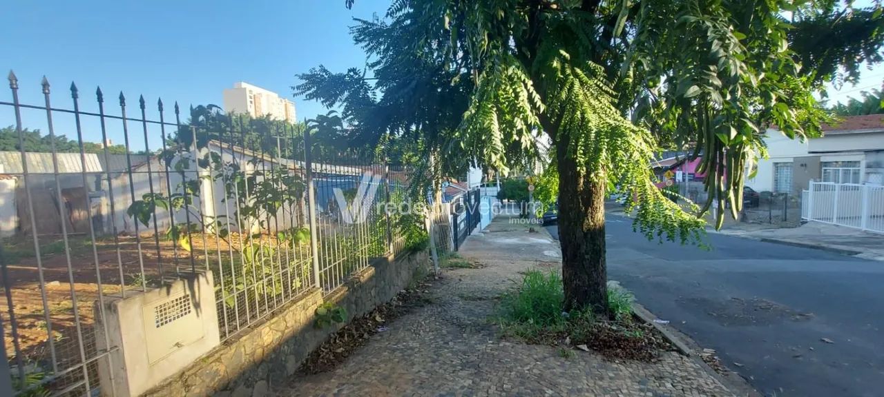 terreno - Taquaral - Campinas - Foto 2