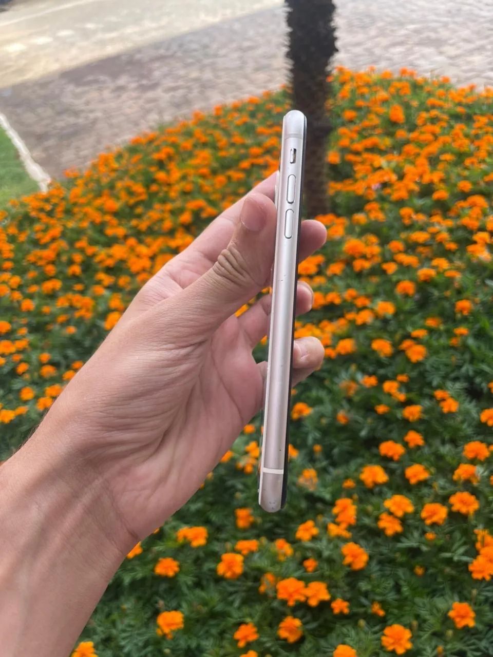 Iphone 11 / 128gb - Foto 3