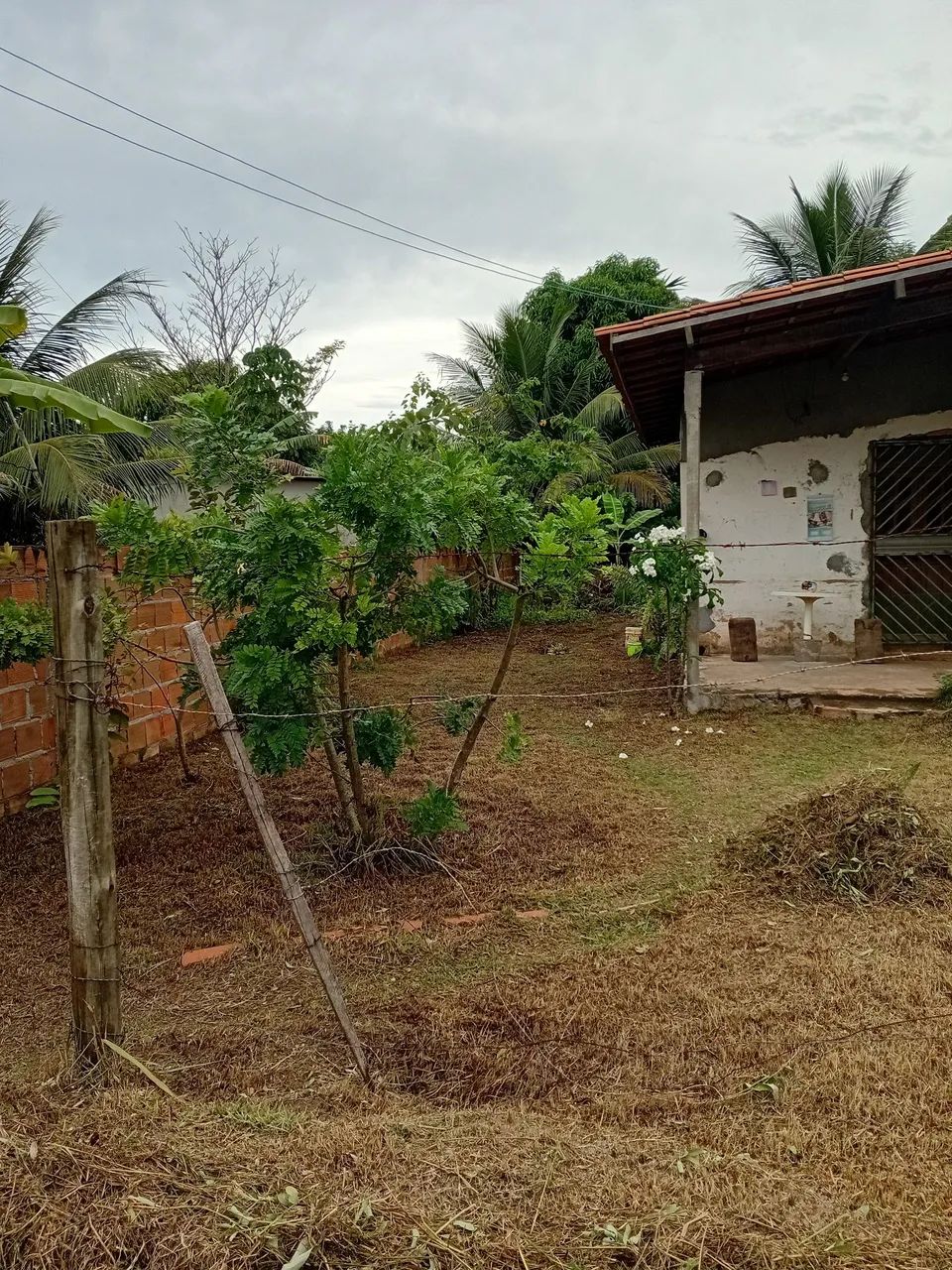 Foto - Camaçari - Arembepe (Abrantes)