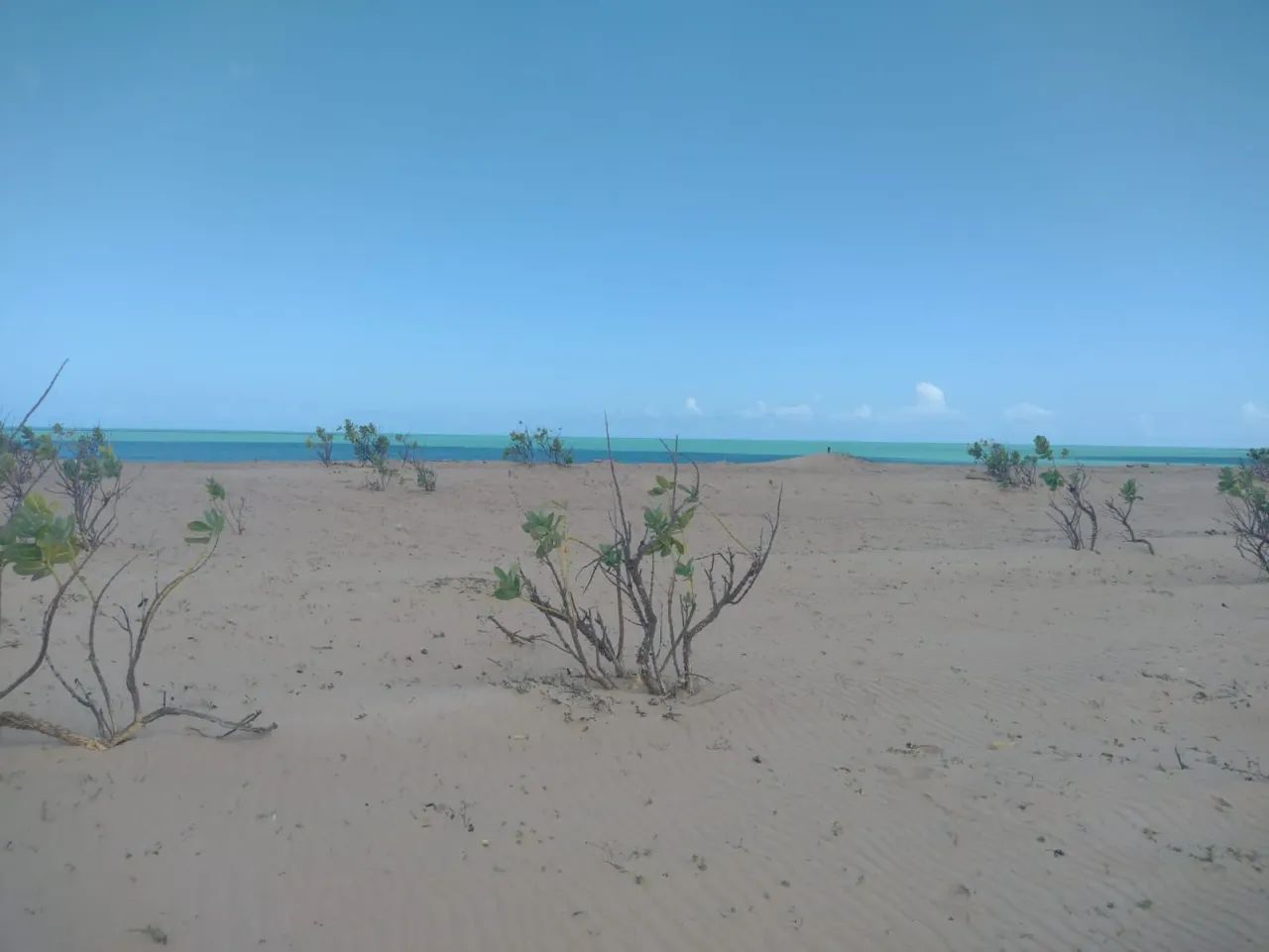 Vendo Área de 2700 m² beira mar em Caiçara do Norte. - Foto 2