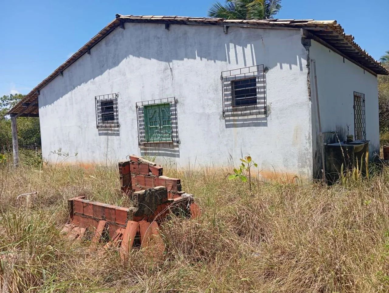Sítio no povoado Angelim, Santo Amaro Das Brotas-SE - Foto 3