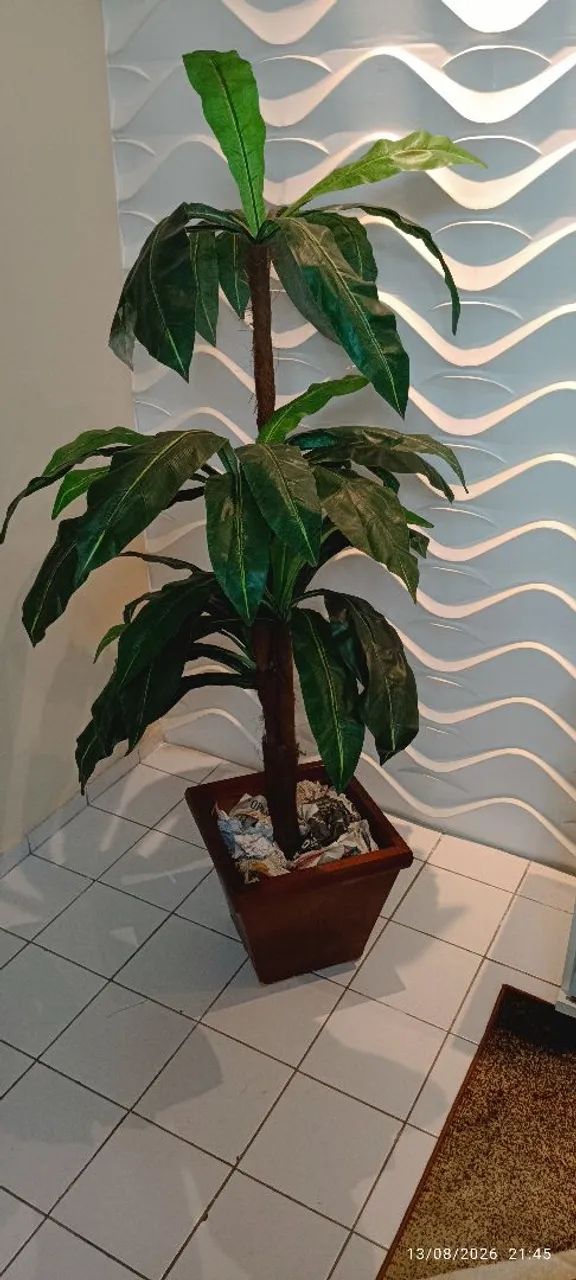 Lindo arranjo para sala