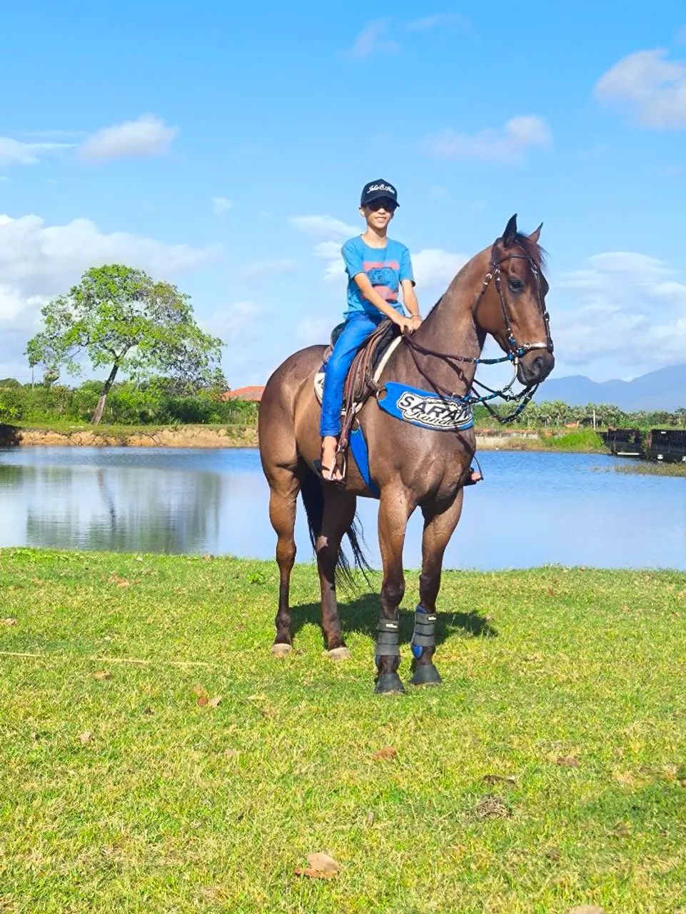 Vende- se cavalo iniciado na direita!! No preço animal sem defeito! - Foto 3