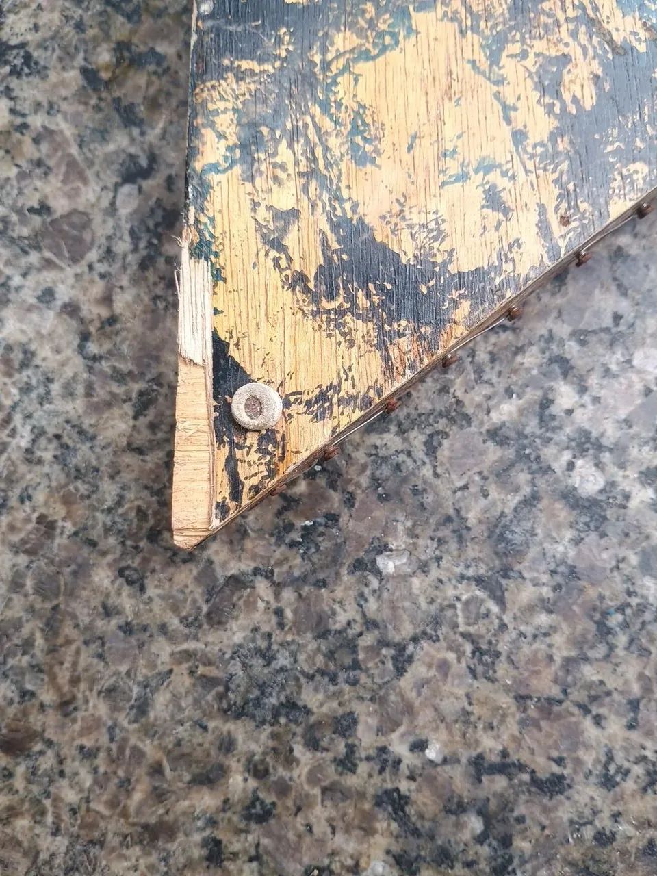 Cítara Arco-Íris ? - Foto 3