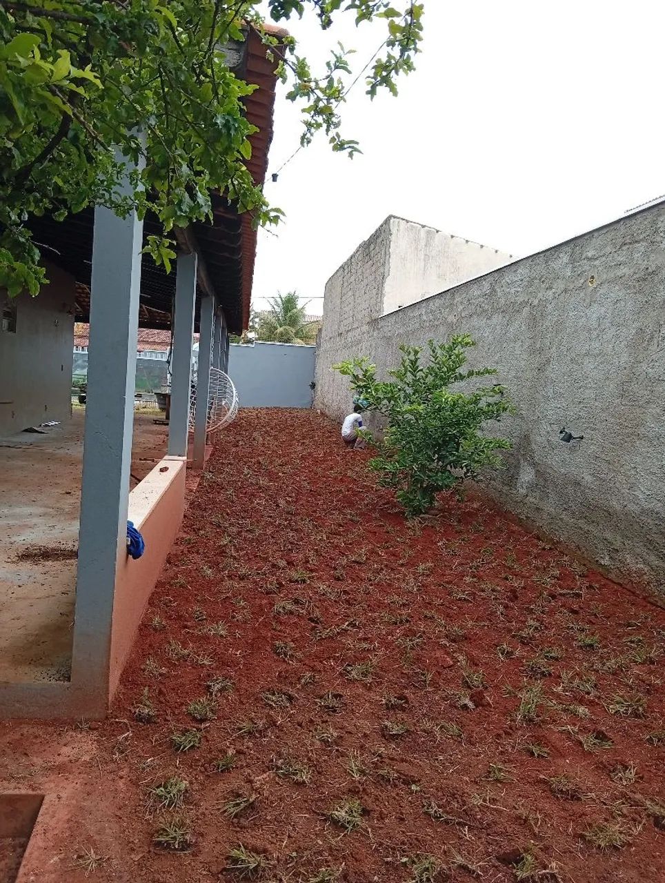 Está procurando uma grama boa e barata e com a gente! - Foto 2