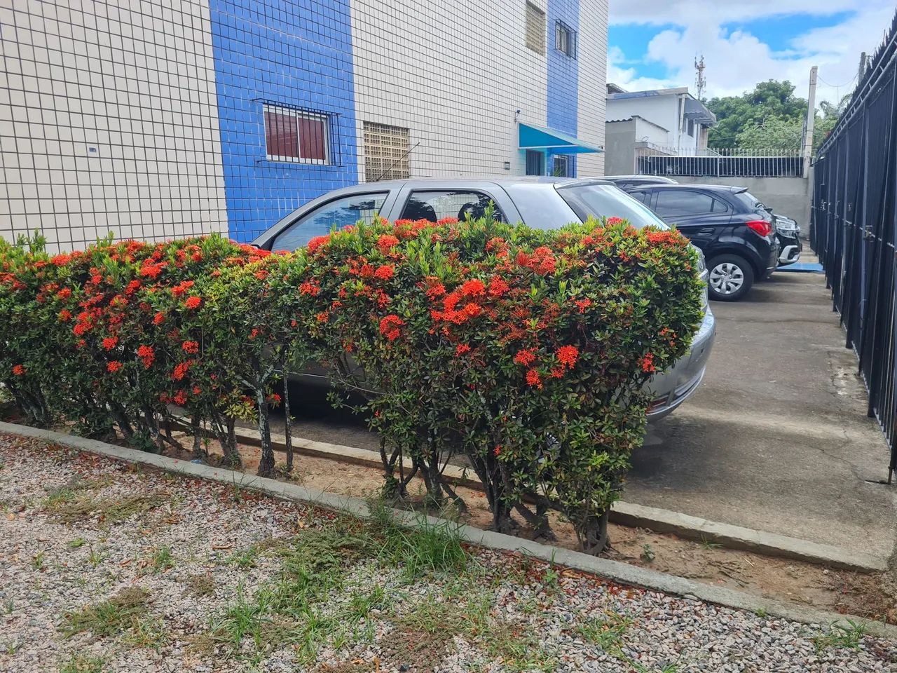 Apto cordeiro  - Foto 2