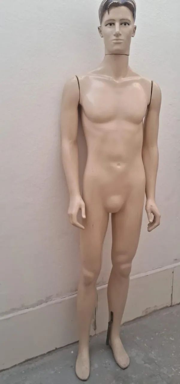 Vendo Manequim Masculino completo