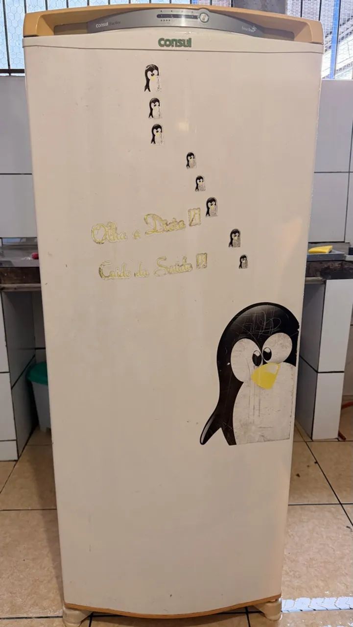 Geladeira cônsul 