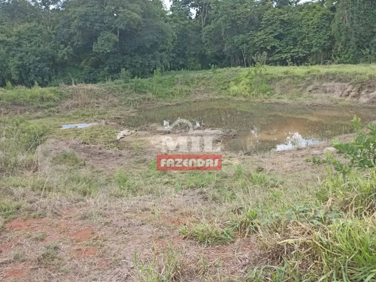 Chácara 22.500M² Itaberaí - Go - Foto 5