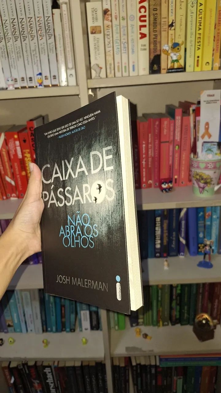 Livro Caixa de pássaros - Josh Malerman - Foto 4