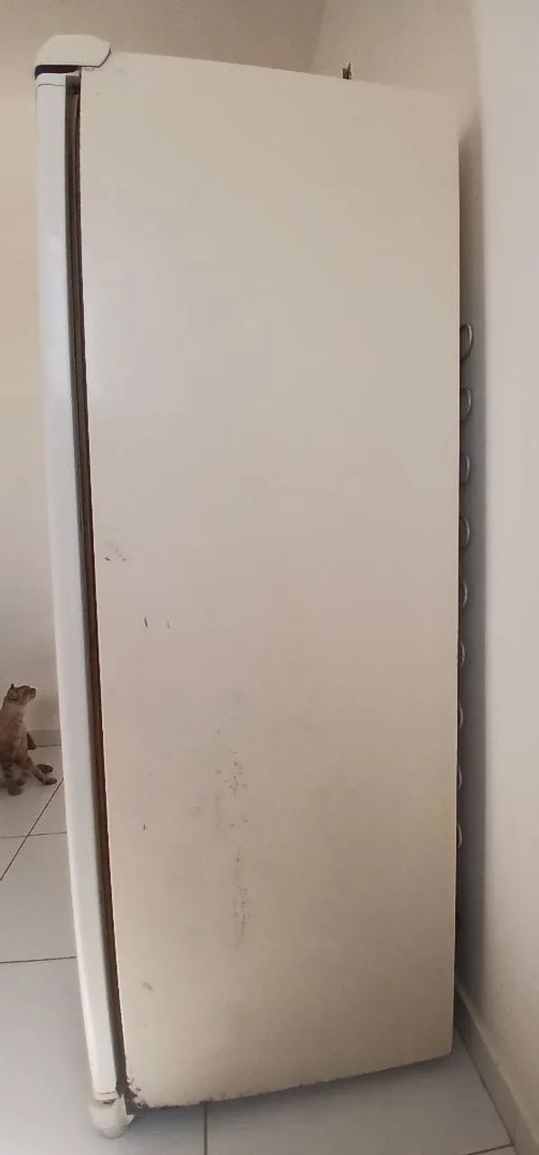 Vendo Freezer vertical - Foto 3