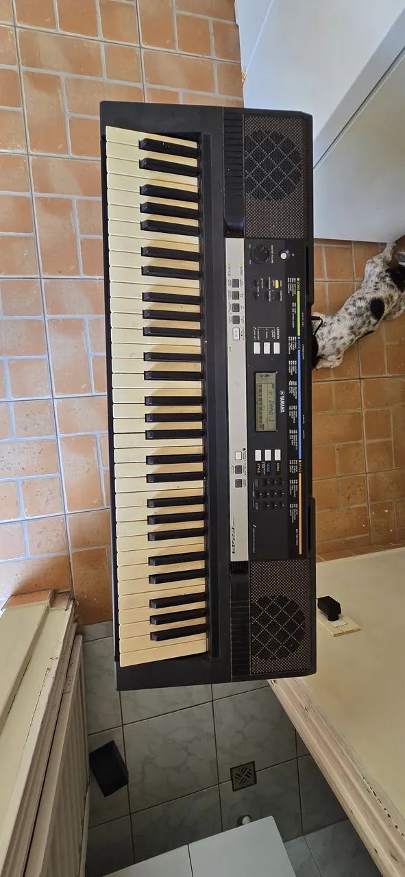 Teclado Yamaha PSR-E243