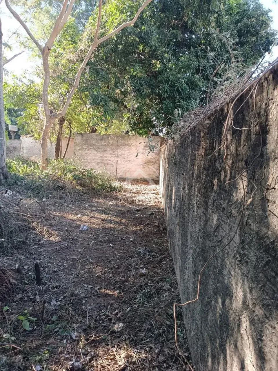 TERRENO COMERCIAL - Foto 4