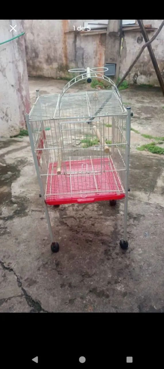 Gaiola de pé  - Foto 2