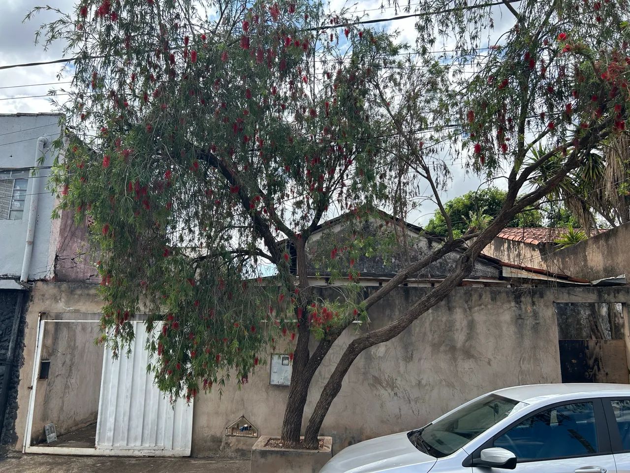 Terreno a venda  - Foto 2