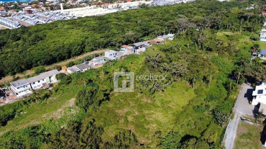 Terreno Residencial à venda, Morro das Pedras, Florianópolis - TE0145. - Foto 3