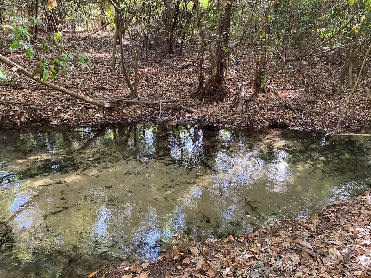 Chácara na Bom Jardim, Nobres MT - Foto 2