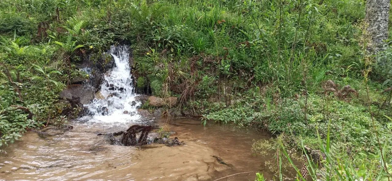 Sítio em Piranguçu - MG - Foto 5