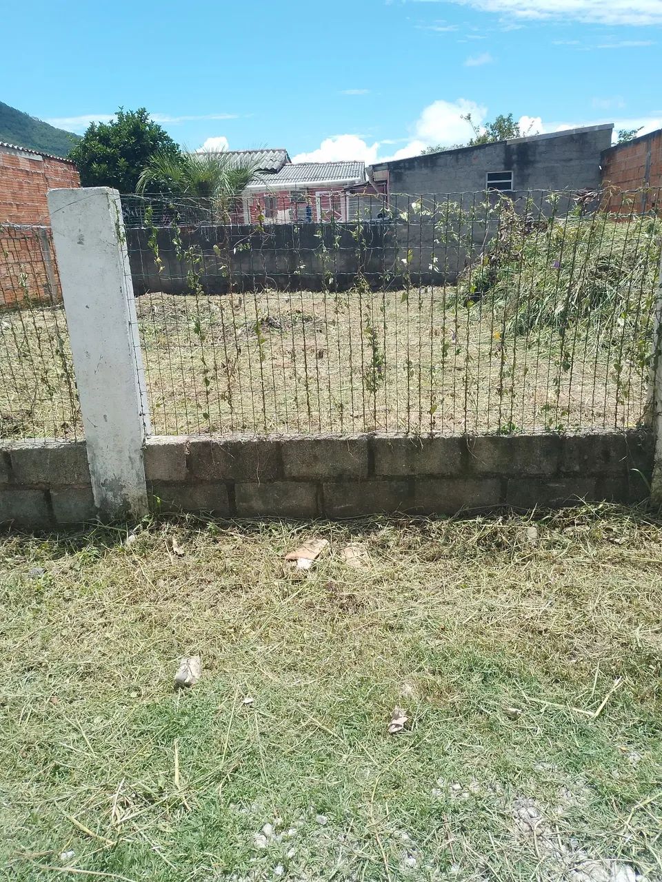 Limpeza de terrenos Aparti 250 reais  - Foto 3