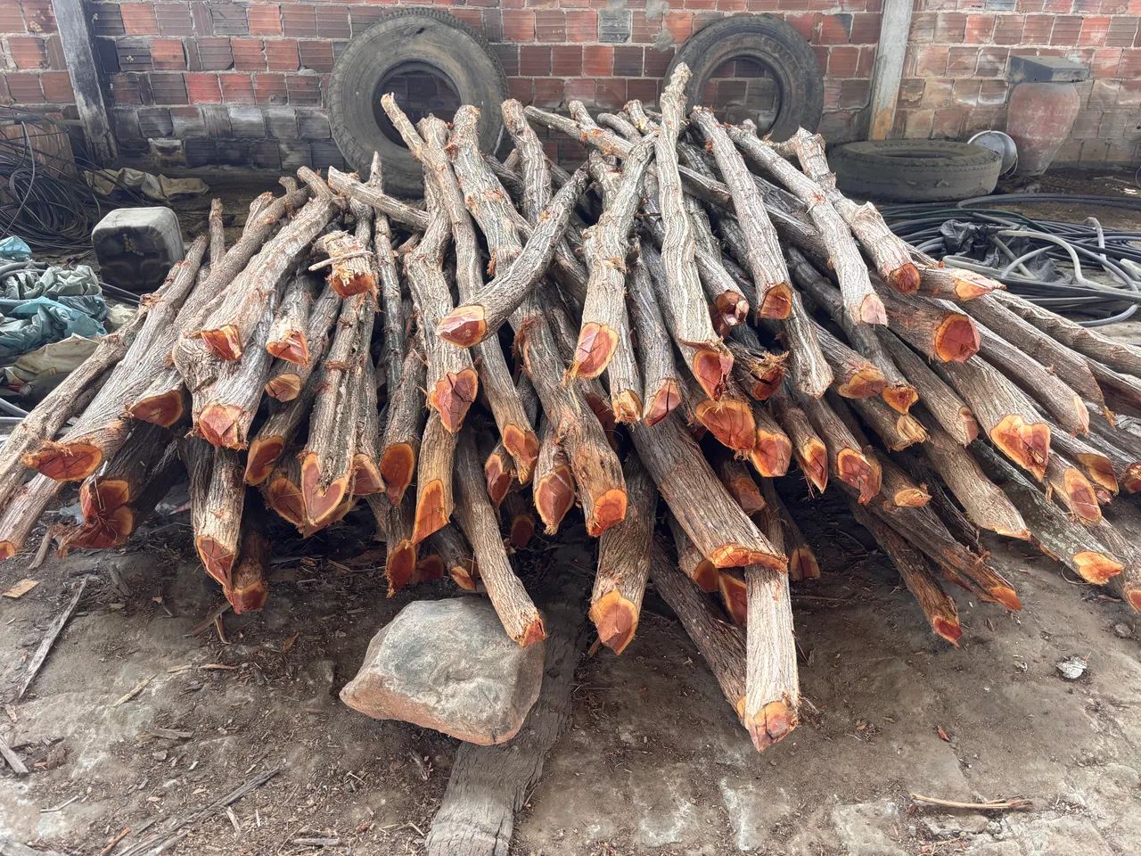 Mockingbird Posts64985880890881122