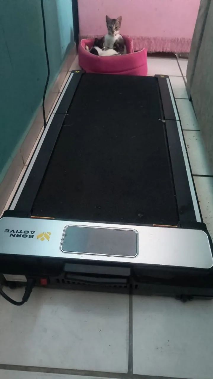 Esteira Compacta Born Active (Walkingpad)  - Foto 2