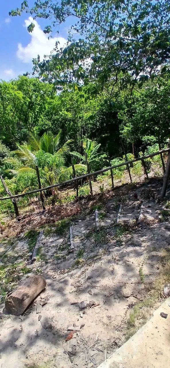 Vendo chácara  - Foto 4