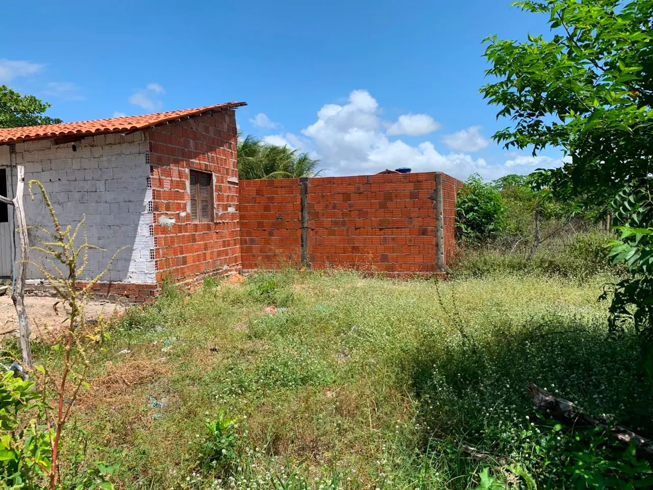 Terreno com casa - Foto 5