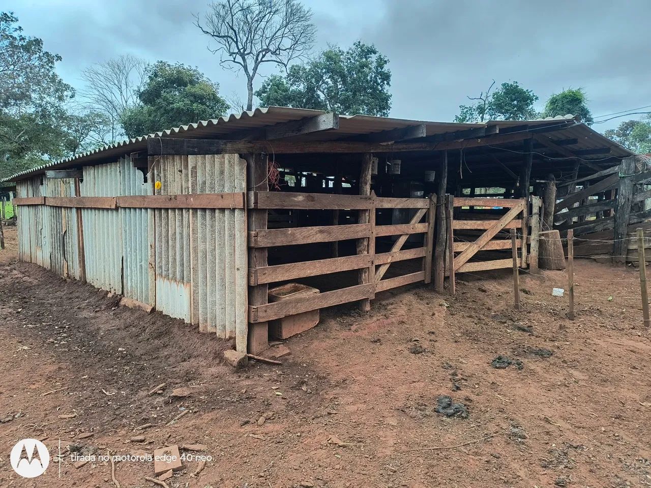 Sitio com queijaria e estrutura completa  - Foto 4
