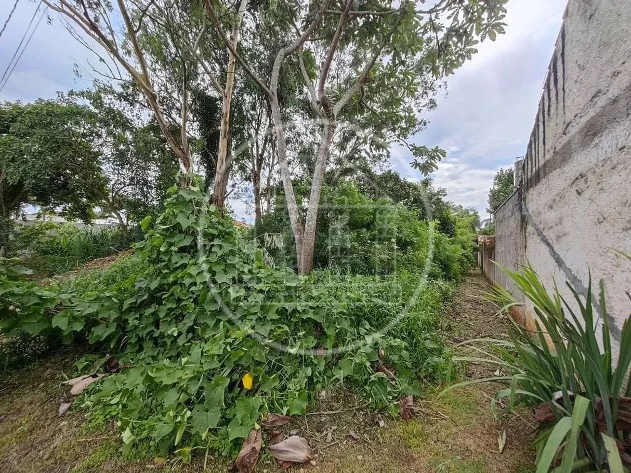 Terreno à venda no Parque do Terceiro Lago - Foto 4
