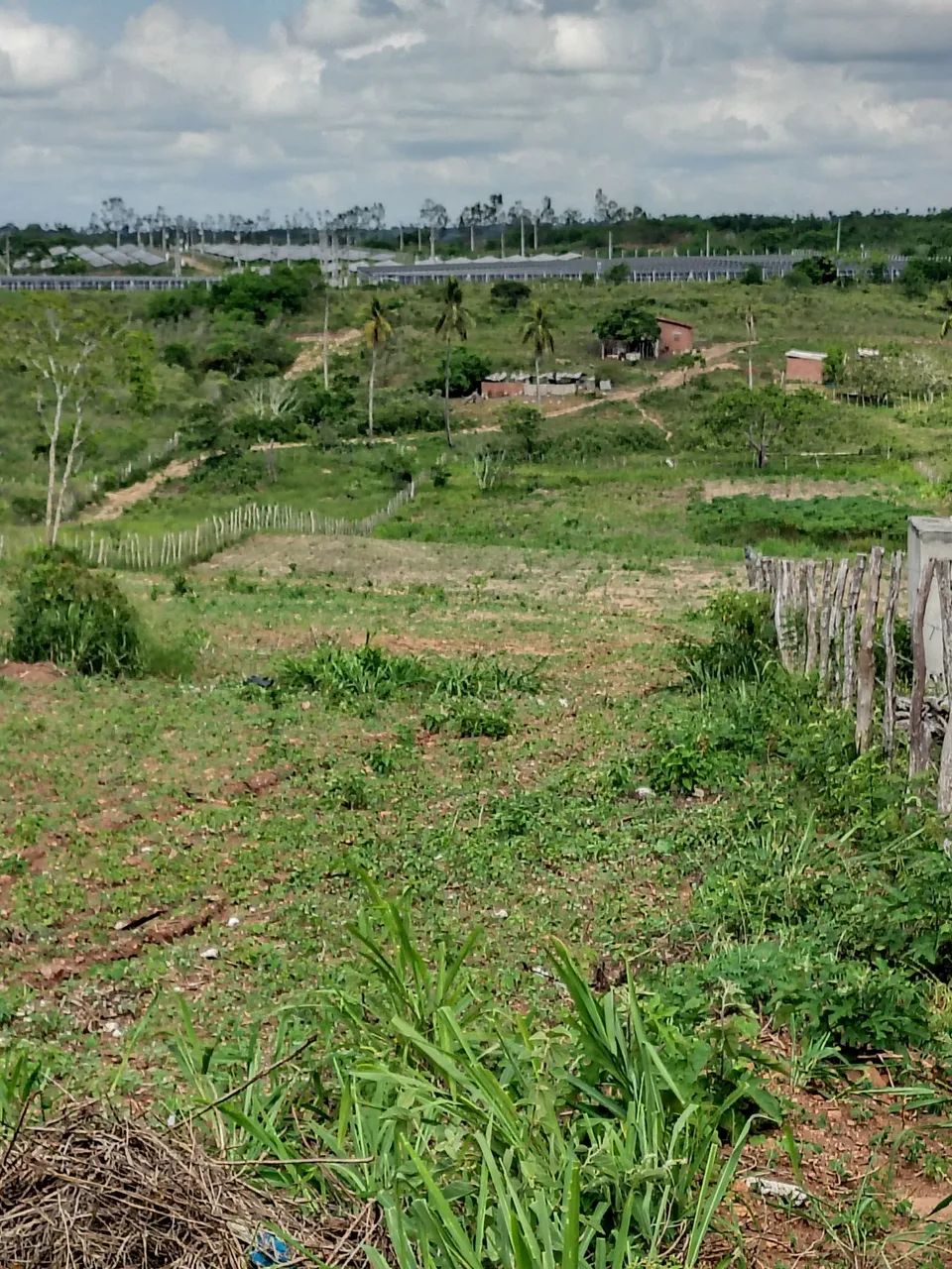 Terreno em glória do Goitá - Foto 5