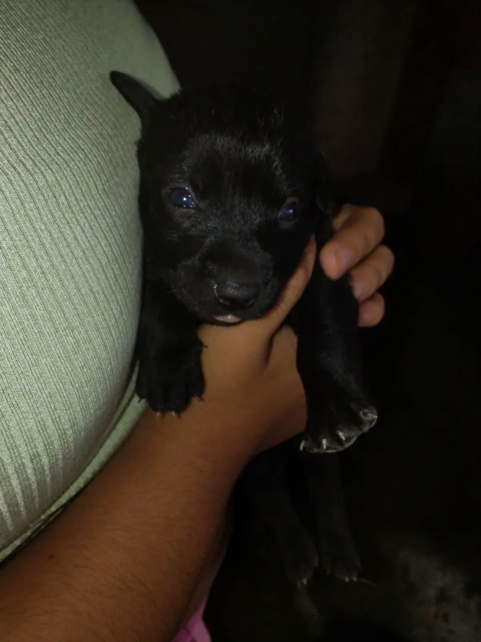 DOAÇÃO!!! - Foto 2