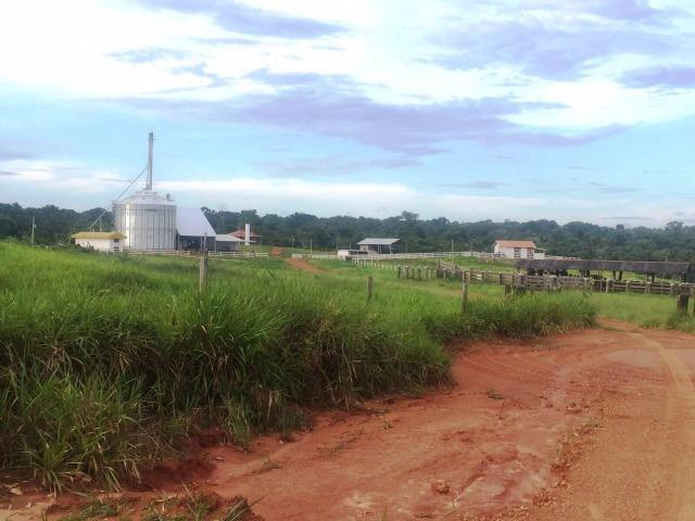 Fazenda 873 ha S.J. Rio Claro MT - Foto 6