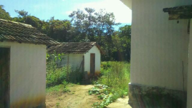 Fazenda em Cachoeira de Minas - Foto 11