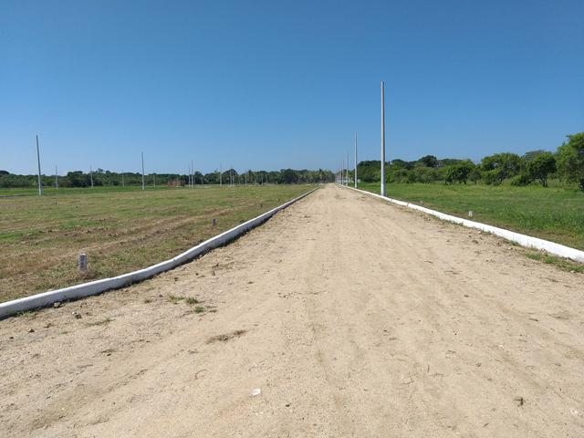 Cód 35 Lotes na Planta!!! - Foto 4