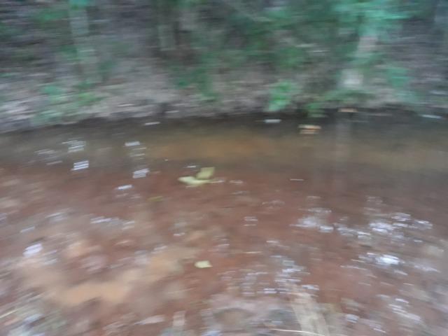 Chácara muito boa a 9 km de Acorizal - Foto 6