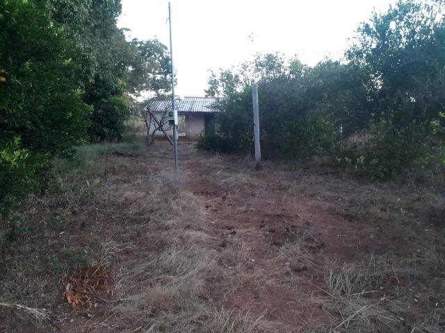 Chácara muito boa a 9 km de Acorizal - Foto 8