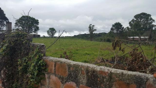 Chácara/bem localizada, de frente para Rodovia BR277 só R$3.499.000,00 - Foto 6