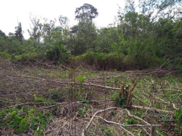 Terreno à venda, 360 m² por r$ 45.000 - vila das palmeiras - morretes/pr - Foto 12