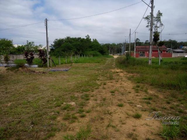 Terreno à venda, 360 m² por r$ 45.000 - vila das palmeiras - morretes/pr - Foto 14