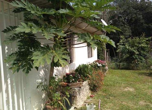 Vendo ou troco chácara em Quitandinha PR - Foto 2