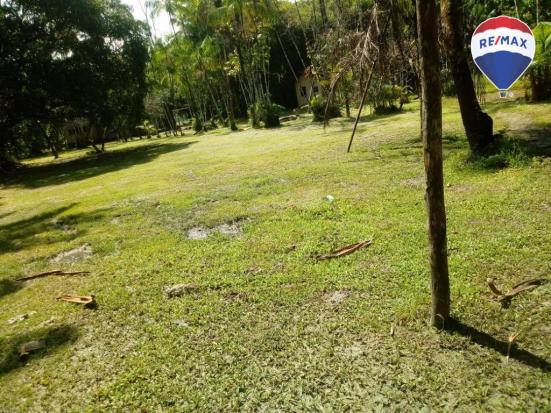 Terreno BR 316- Frente a Heineken com 87.000 m² - Região Metropolitana Belém/PA - Foto 6