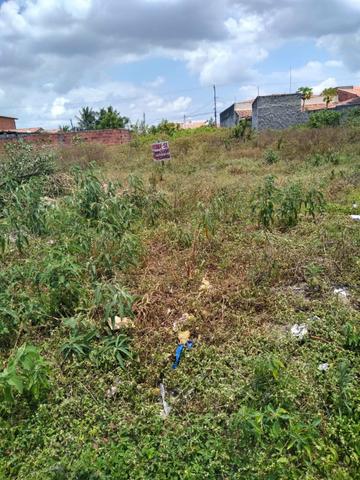 Terreno +Parcelas - Foto 3