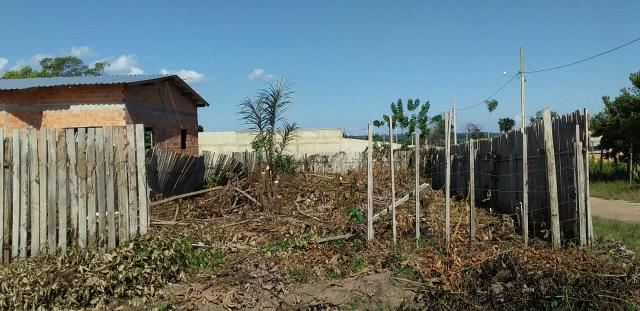 Terreno - Foto 2